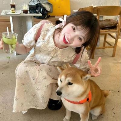 美国式犯罪